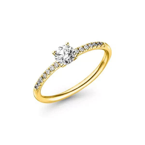 Ring Eva-Marie – Bild 3